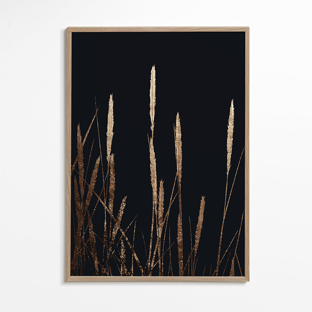 Golden fields in the dark