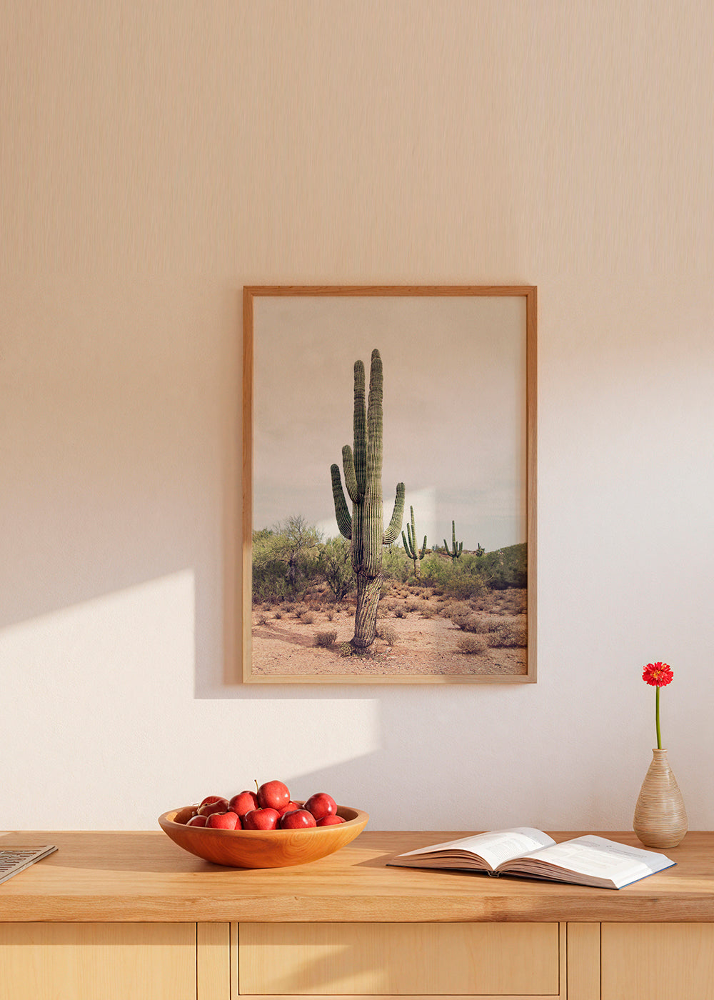 Desert cactus