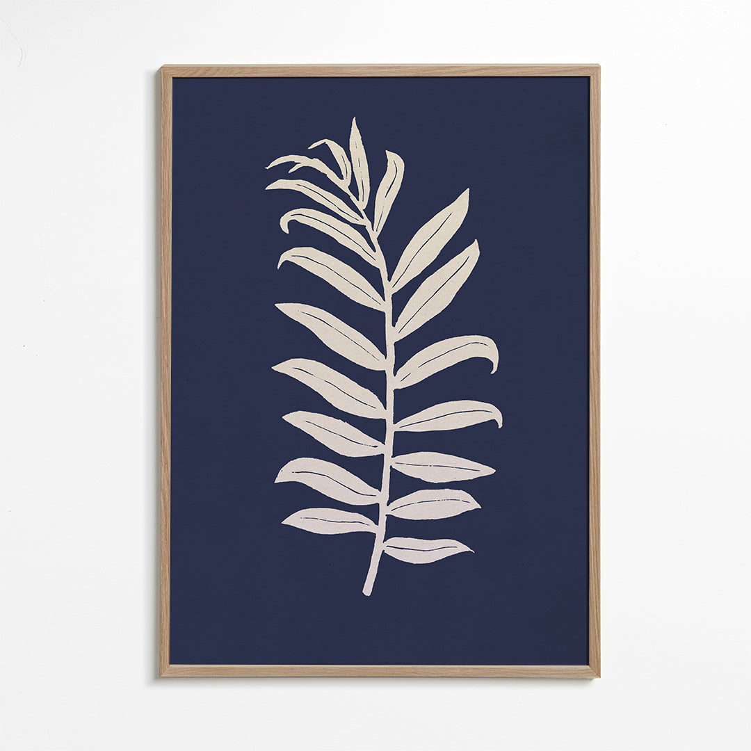 Areca Palmata Deepnight Moon