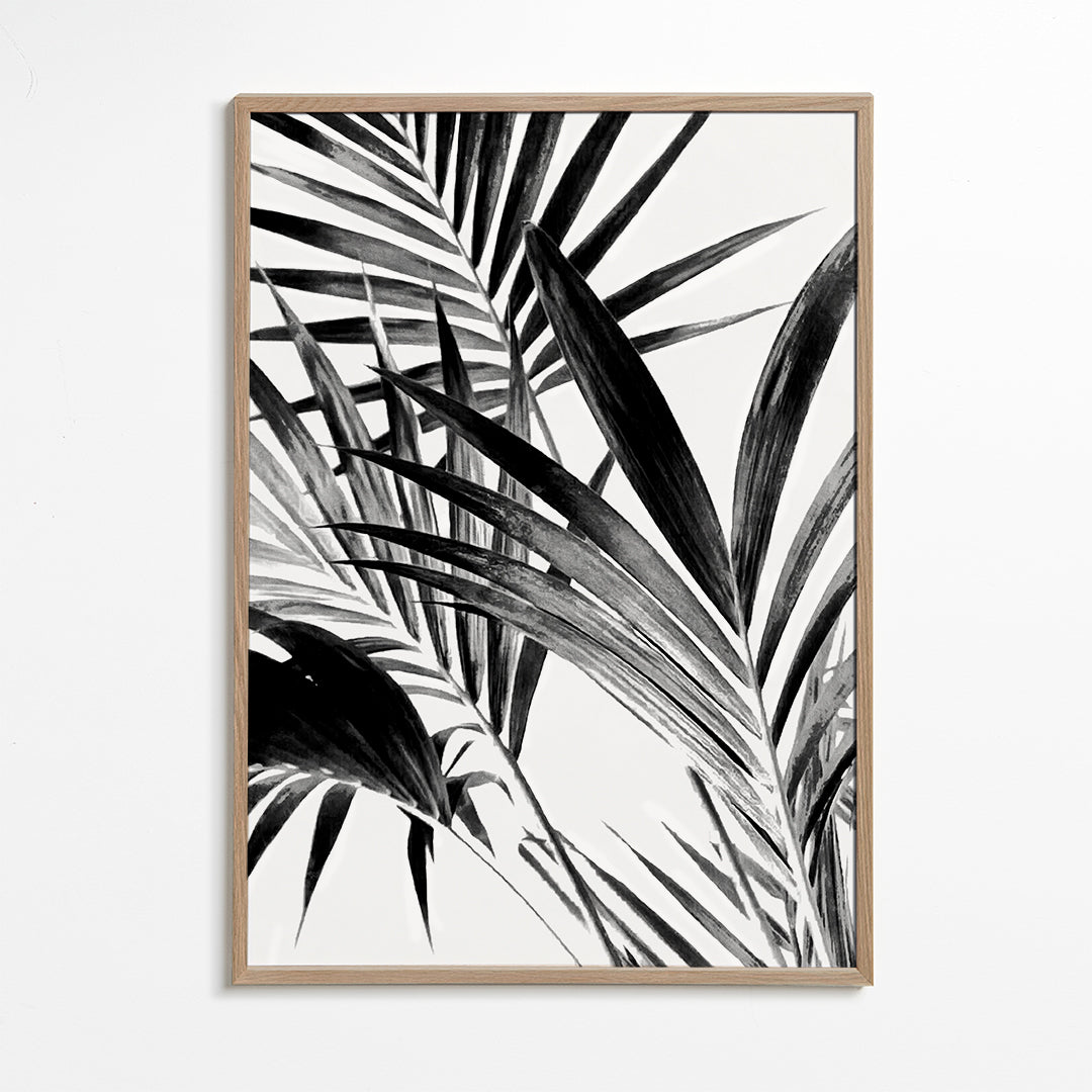 Palm Leaves Black and White 02