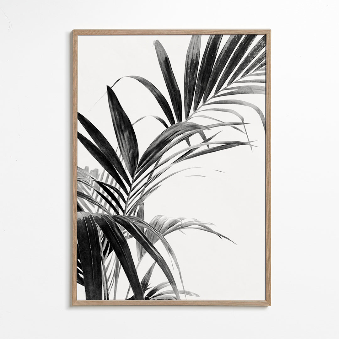 Palm Leaves Black and White 03