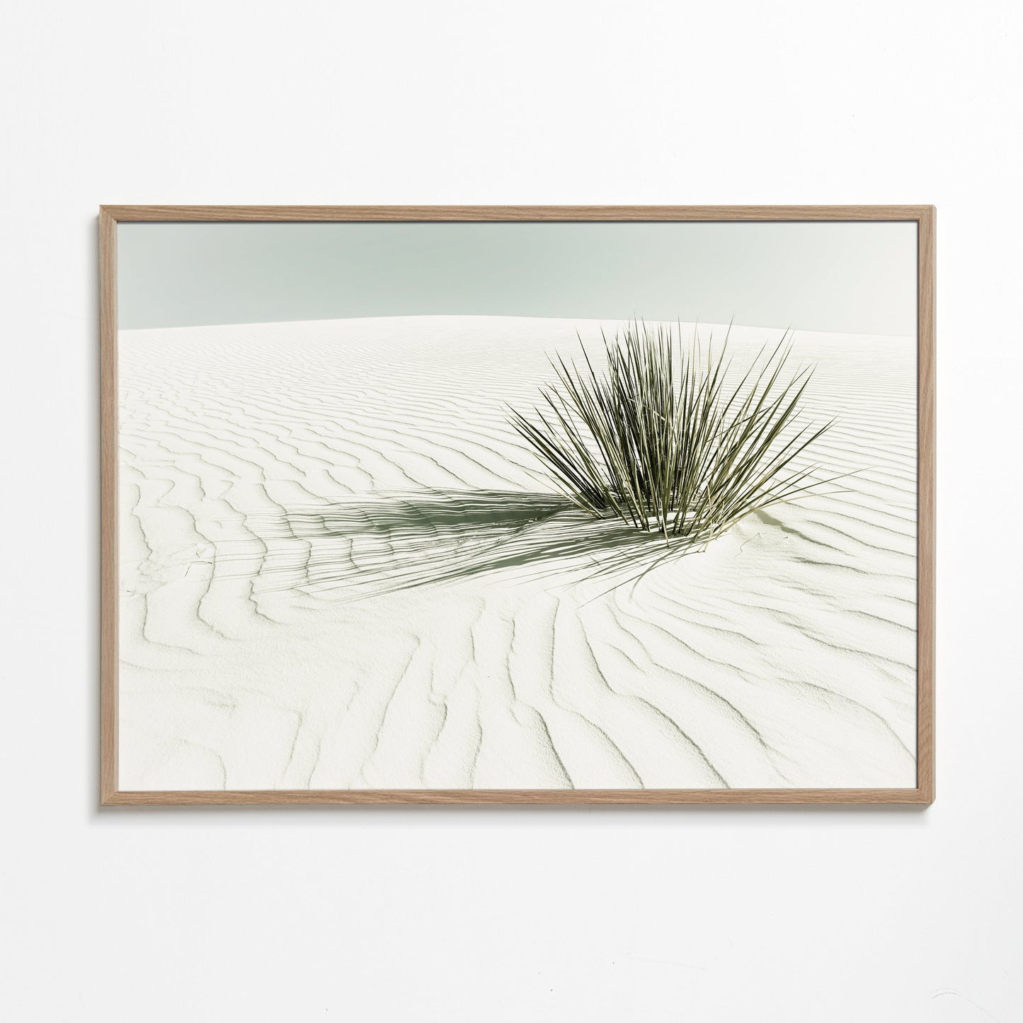 WHITE SANDS Dune | Vintage