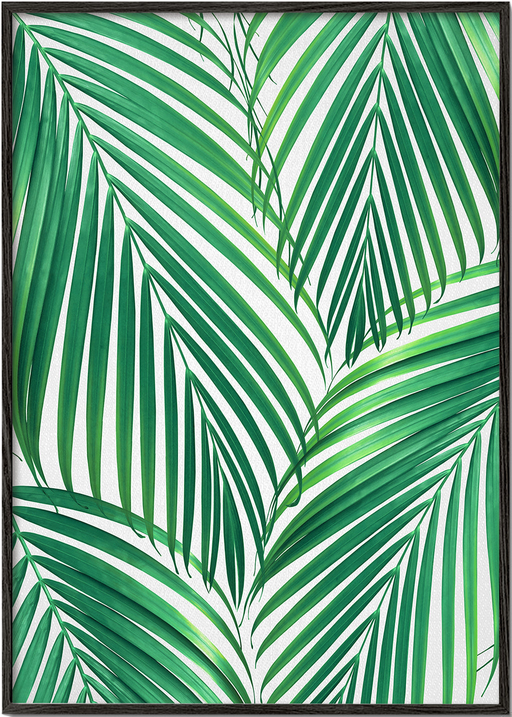 Palm Leaves