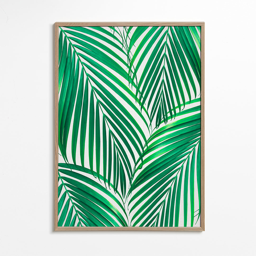 Palm Leaves