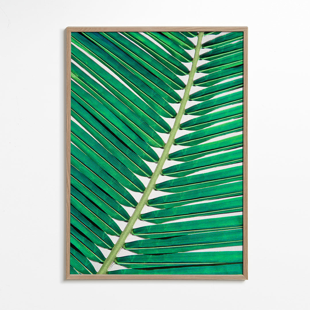 Palm Leaf 2