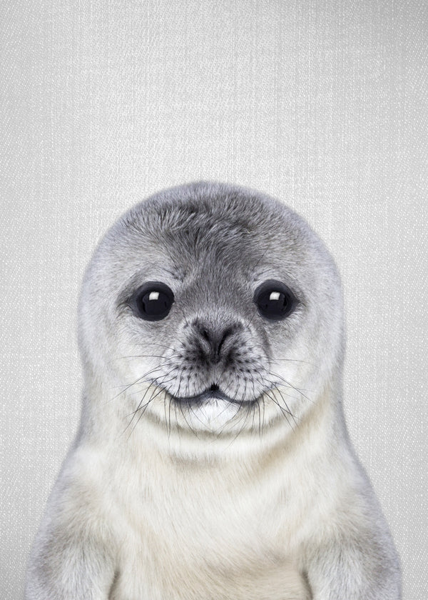 Baby Seal