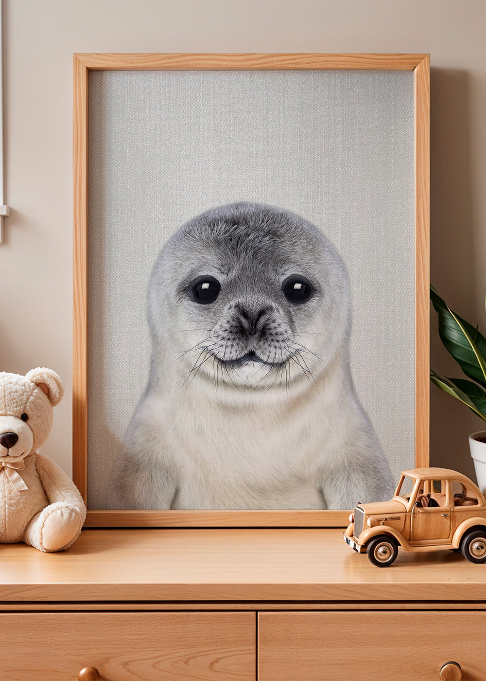 Baby Seal