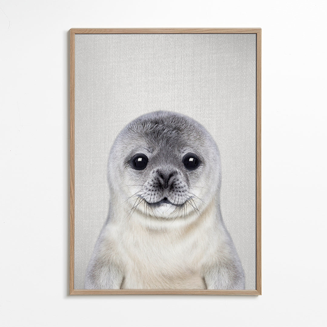 Baby Seal