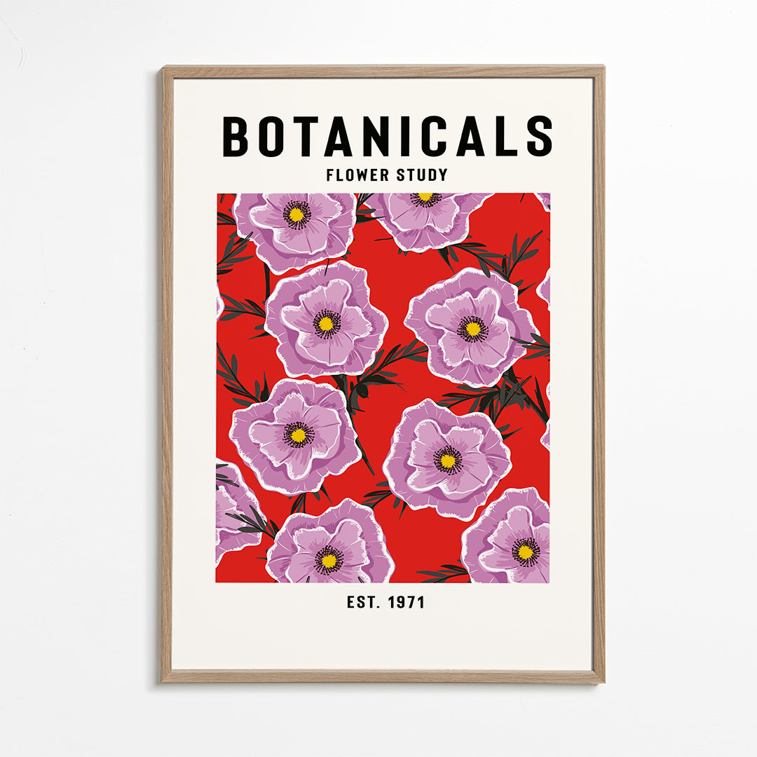 Botanicals Flower Study - jay stanley