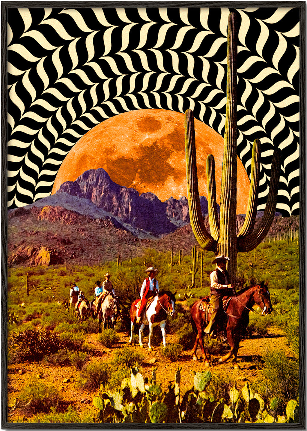 Illusionary Cowboys - Taudalpoi