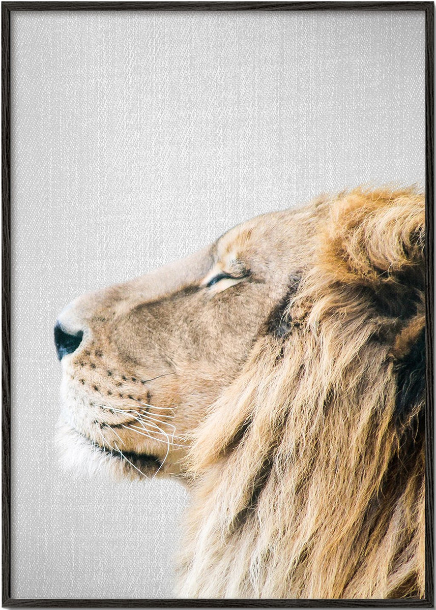 Cuadro nórdico Lion  Cuadros modernos y láminas decorativas – Artesta