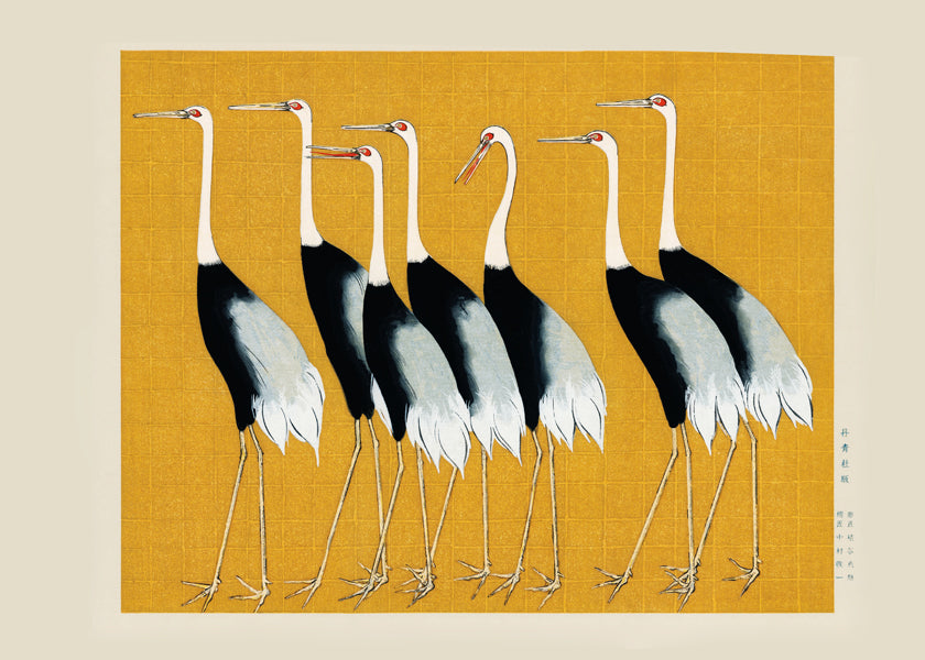 Japanese red-crowned crane vintage illustration