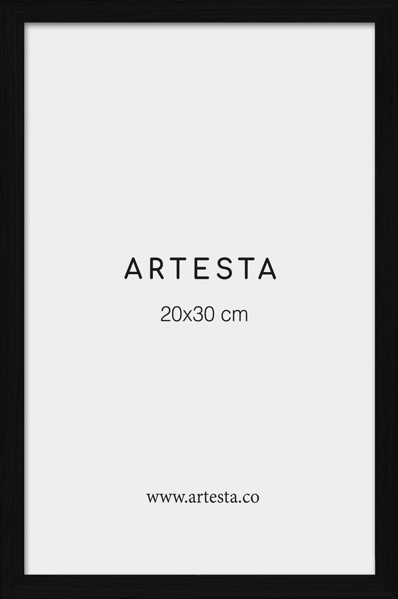 Marco blanco 20x30cm - Marcos para cuadros modernos – Artesta