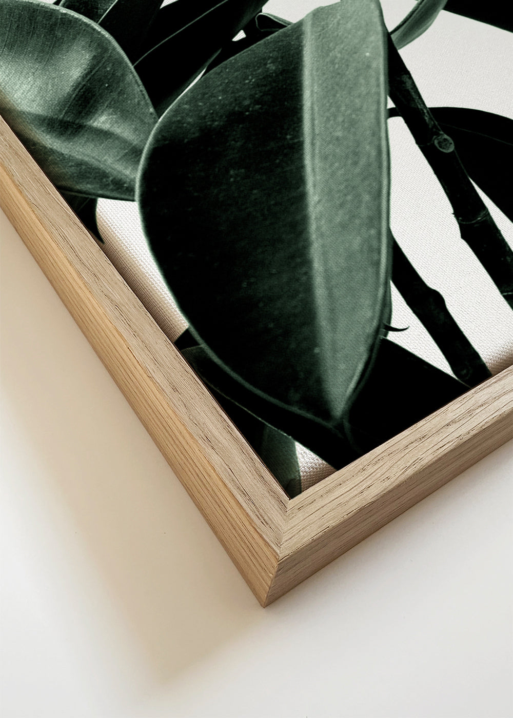 The decoration plant