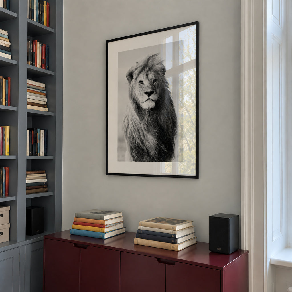 Majestic lion - Framed poster in an interior