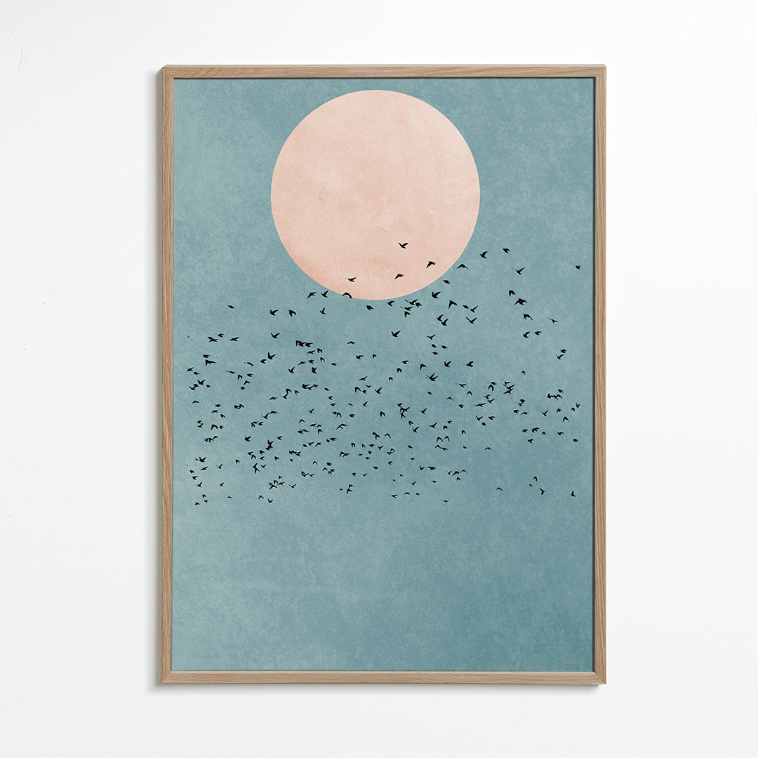 Fly away
