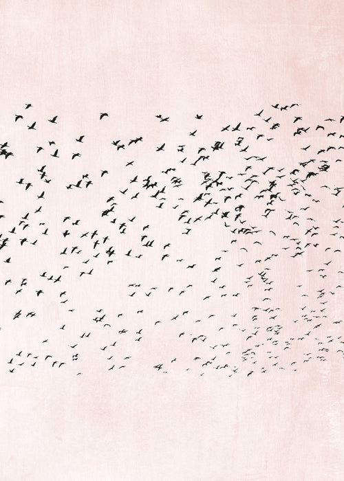 Moving on - Unframed art print