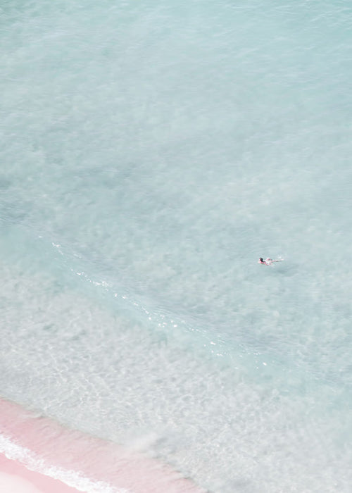 The swimmer