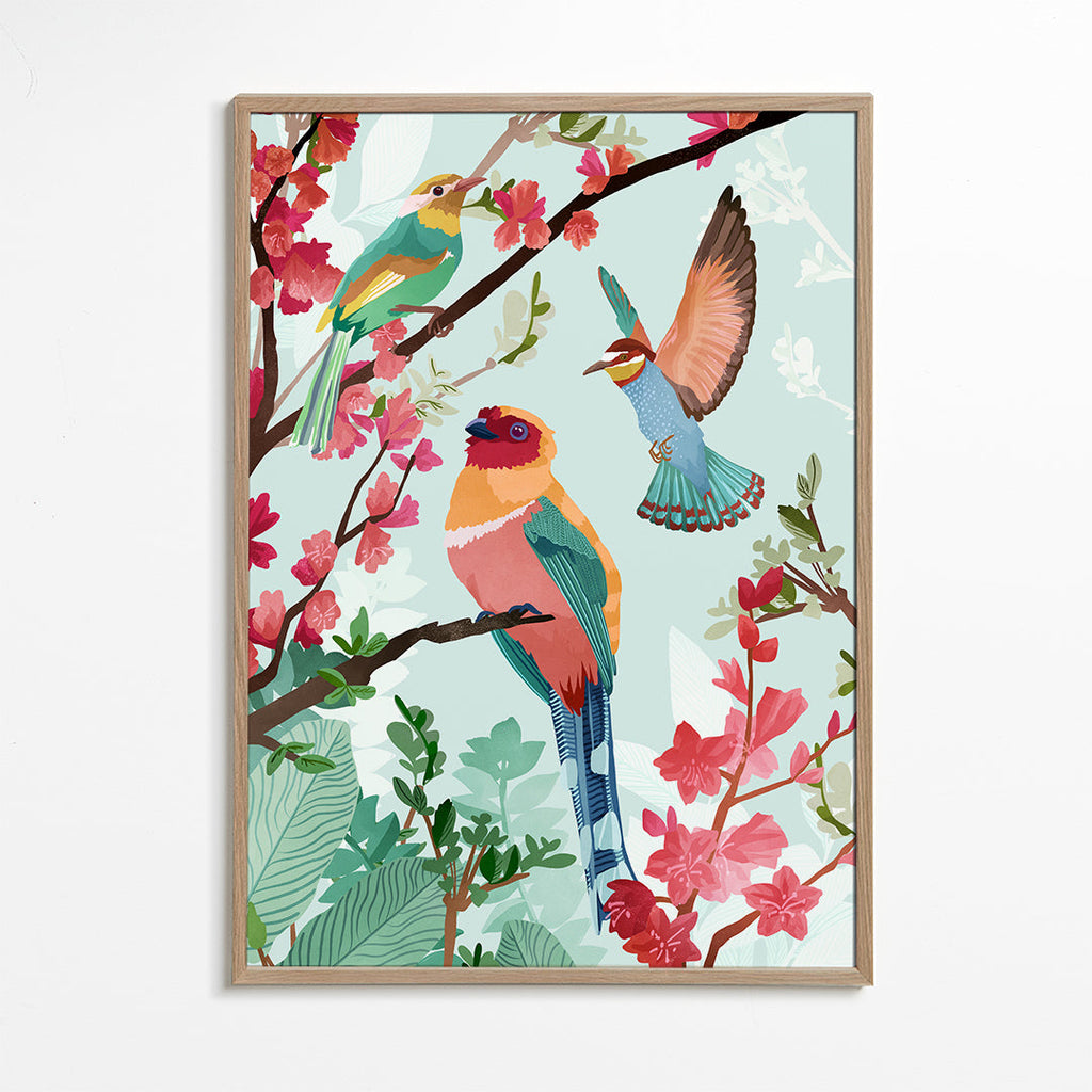 Birds of summer