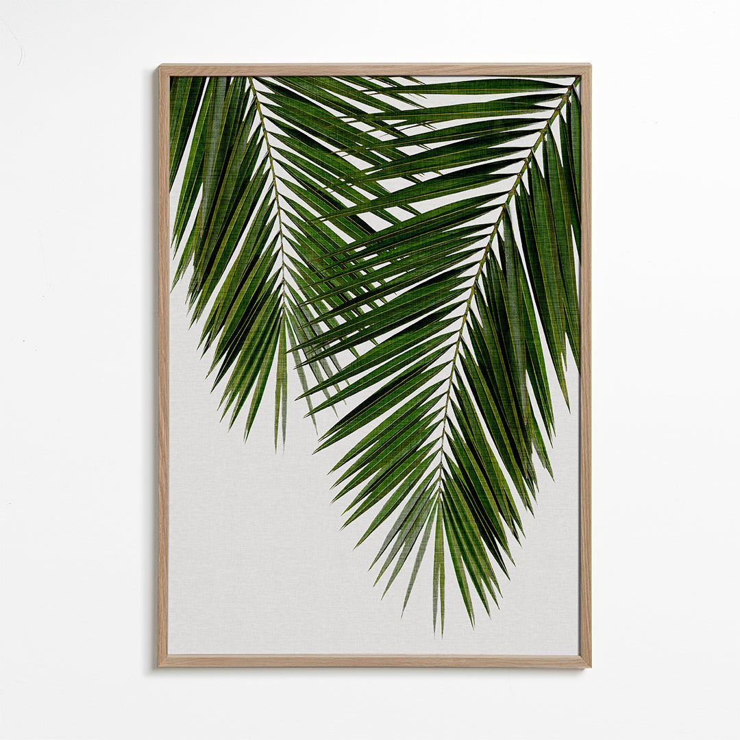 Palm Leaf II