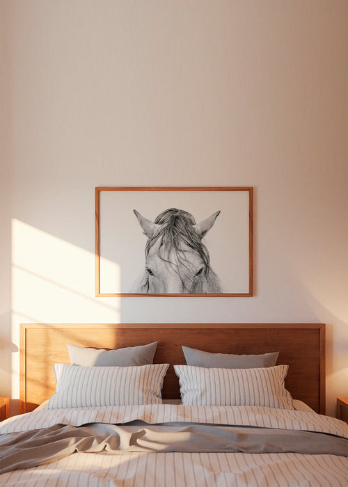 Horses Head 2