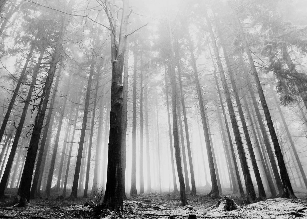 Within Reach 2 - Unframed art print