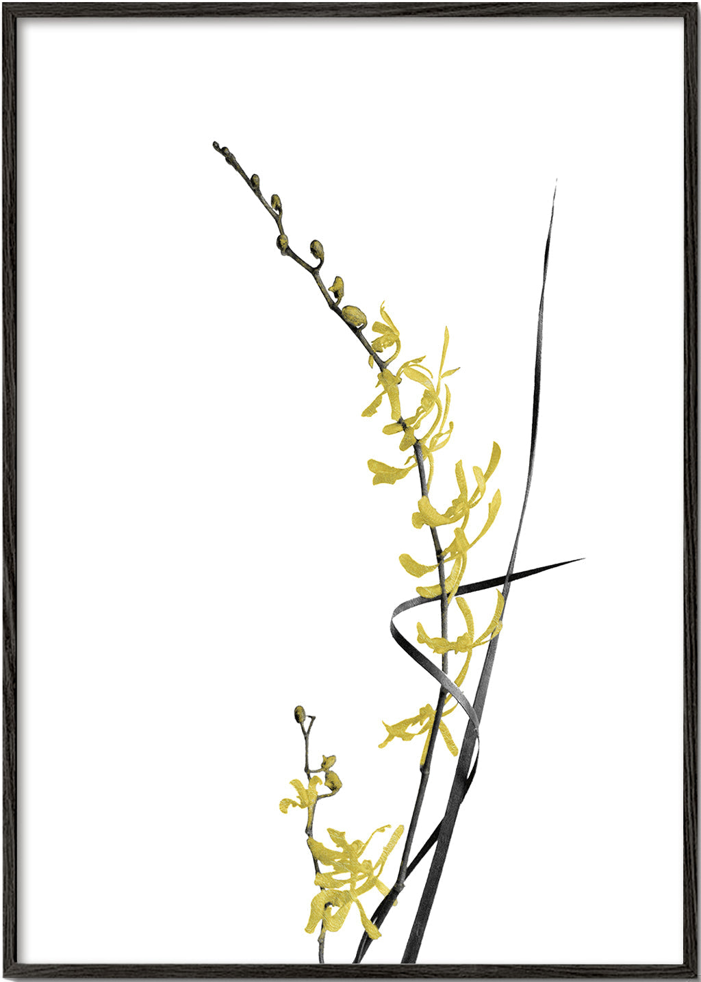Flower Minimal Black and Gold 06