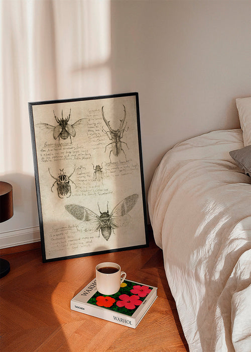 Insects
