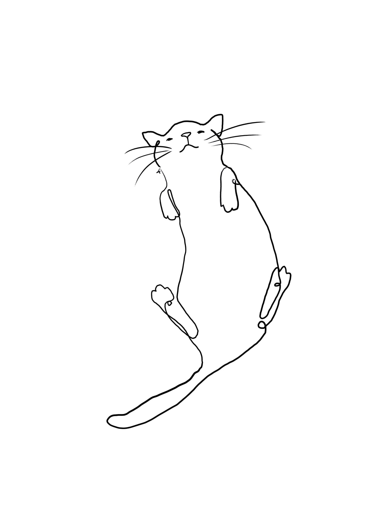 Cat Line No.2 - Unframed art print