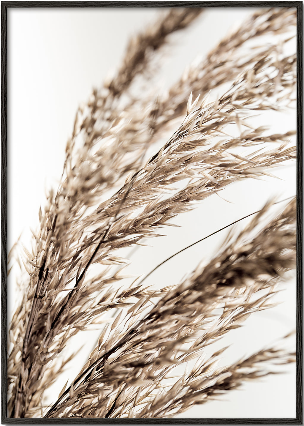 Grass 14