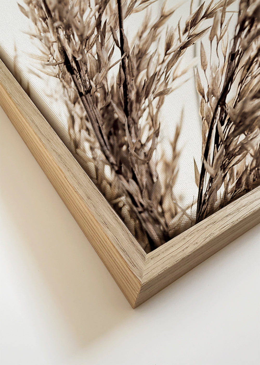 Grass 14