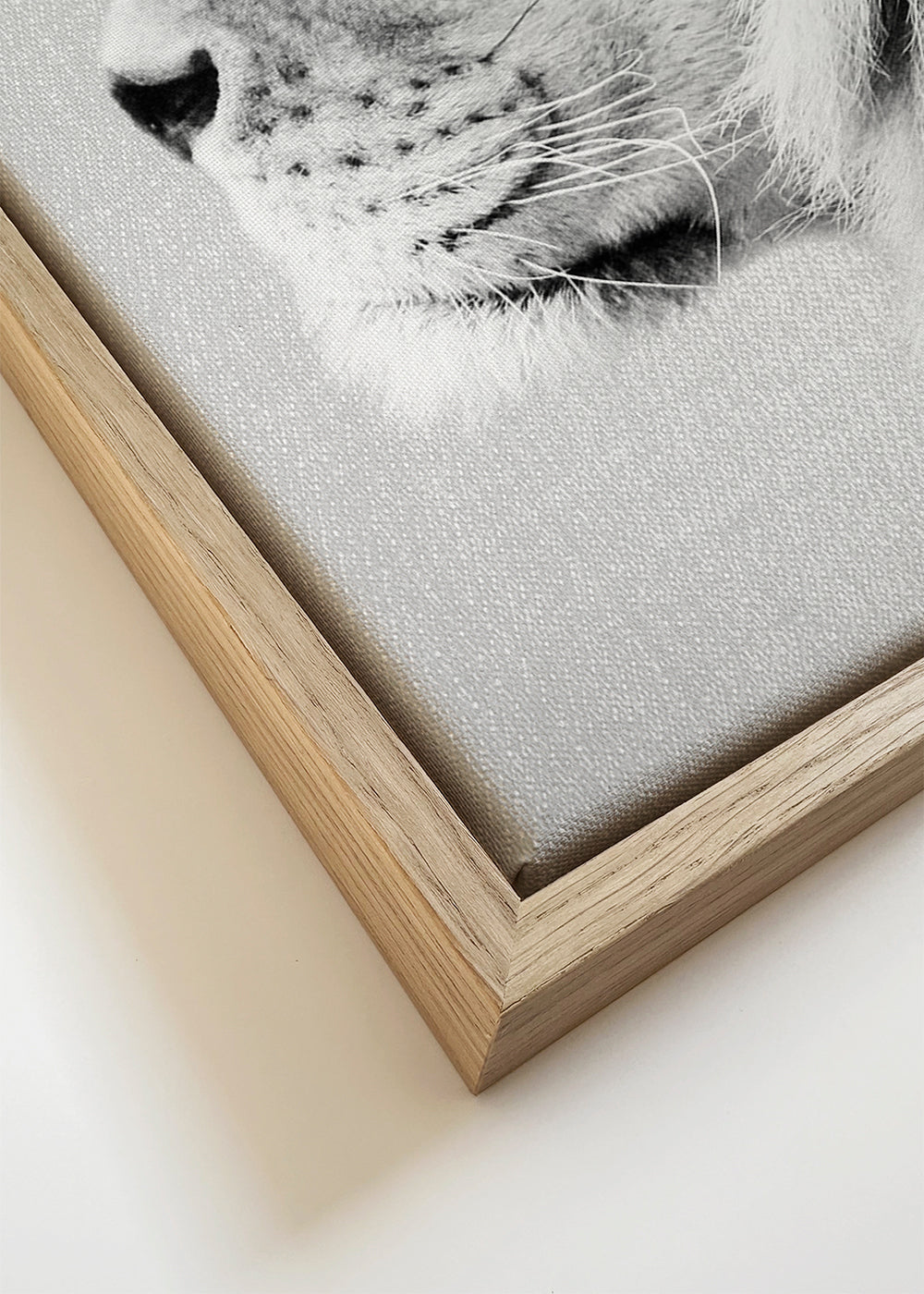 Lion Portrait - Black & White