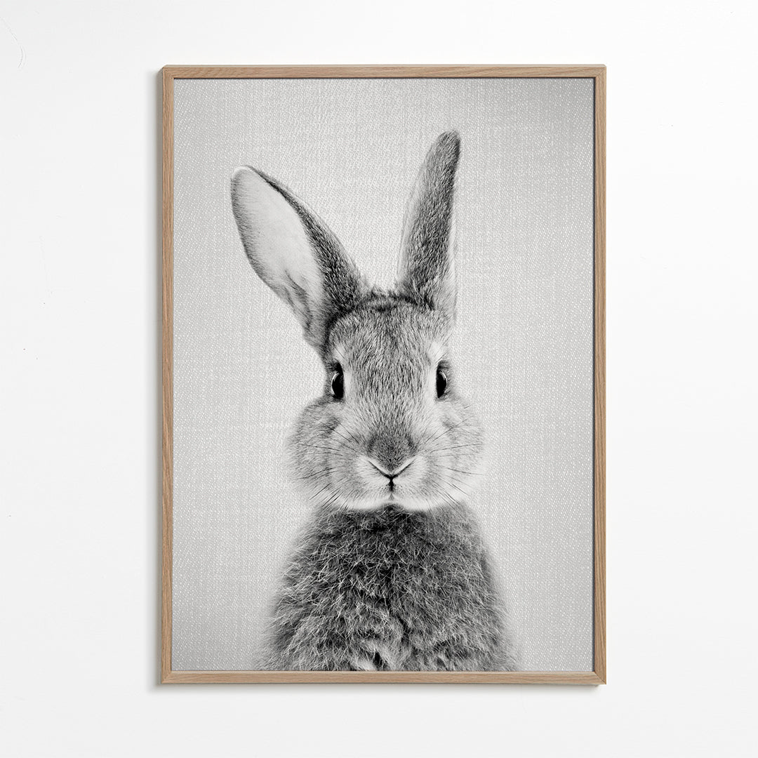 Rabbit - Black & White