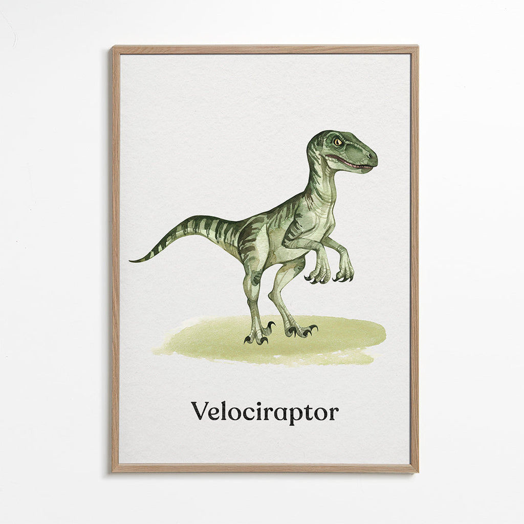 Velociraptor