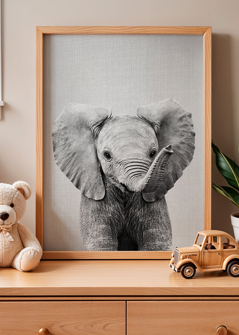 Baby Elephant - Black & White