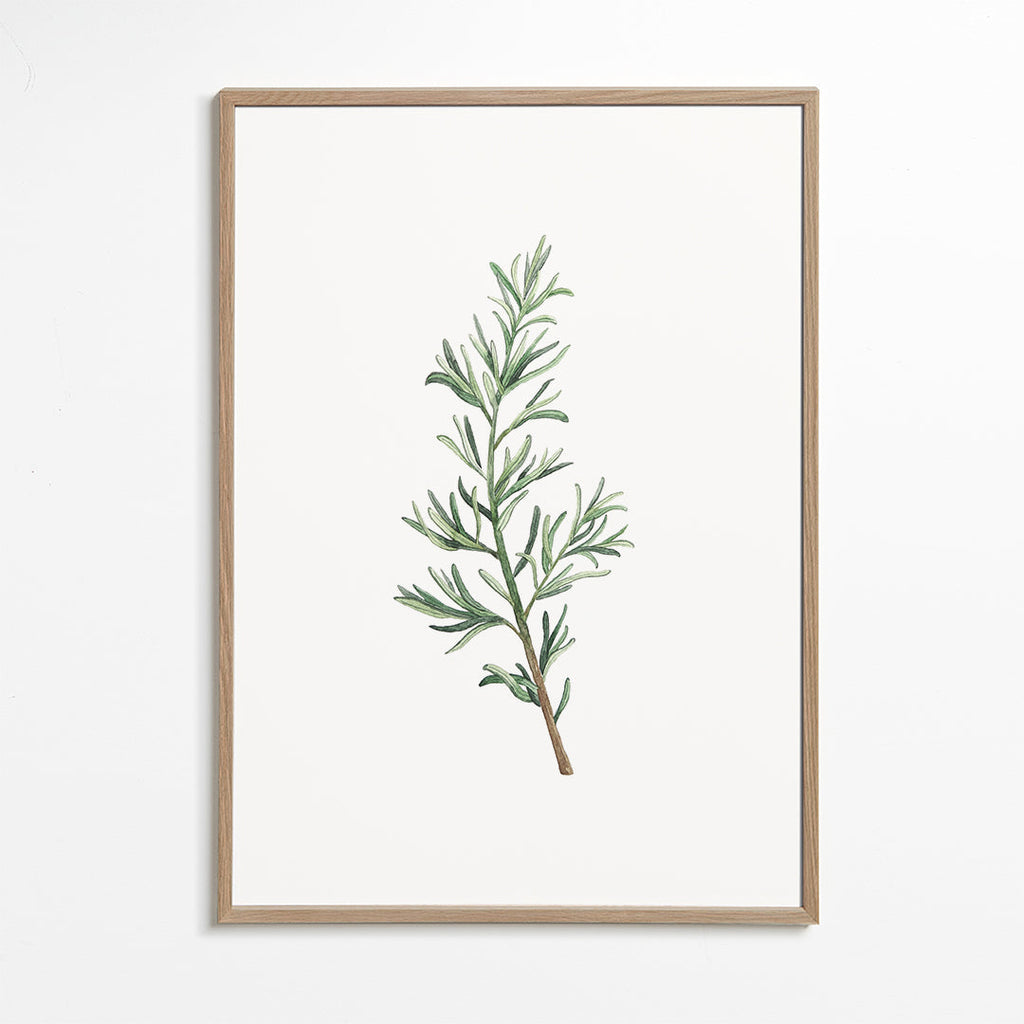 Rosemary Branch