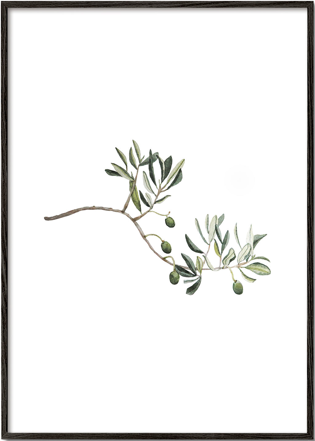 Green Olive Branch