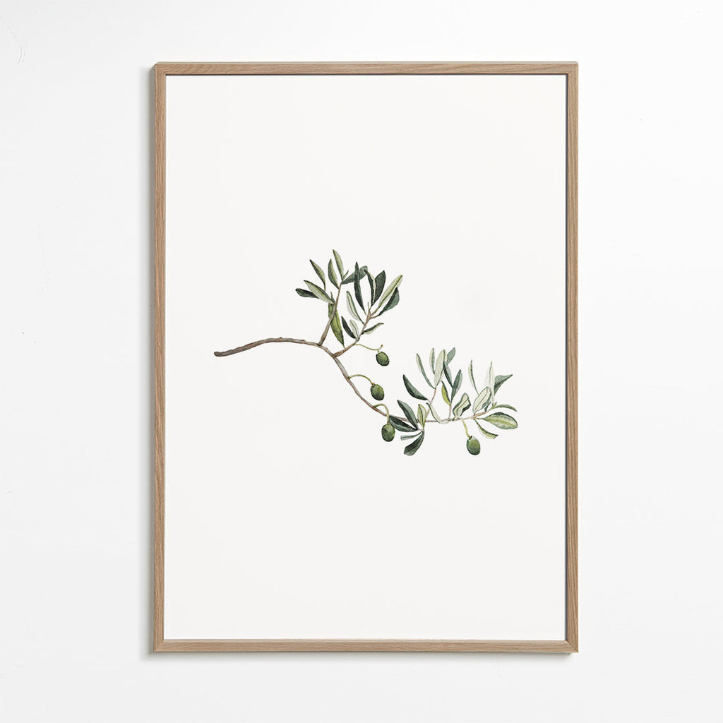 Green Olive Branch