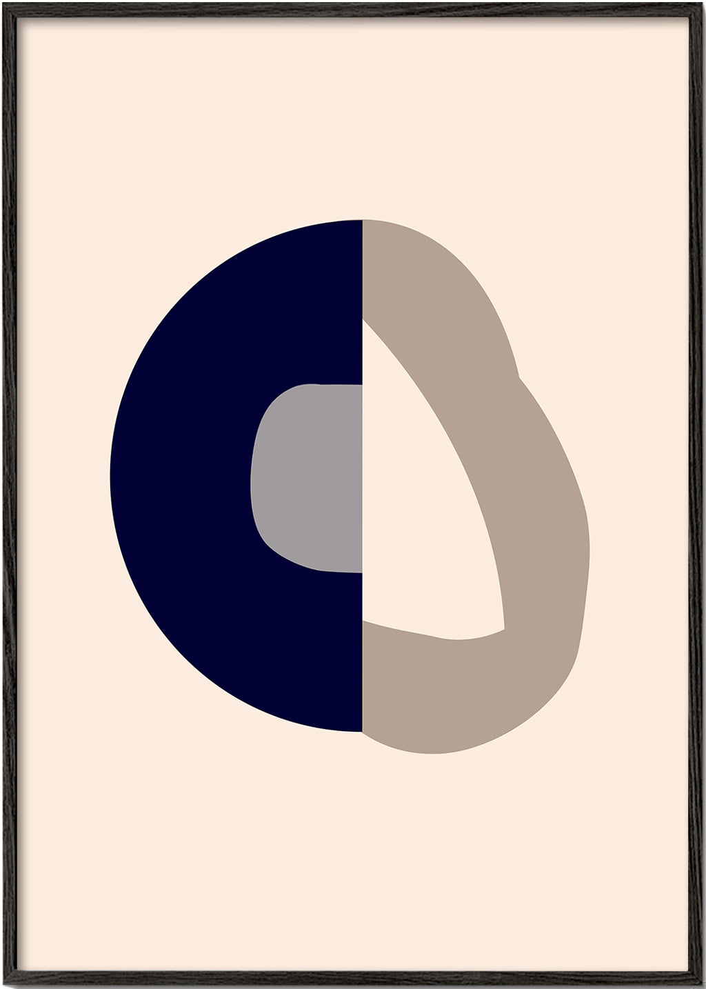 Form IXX