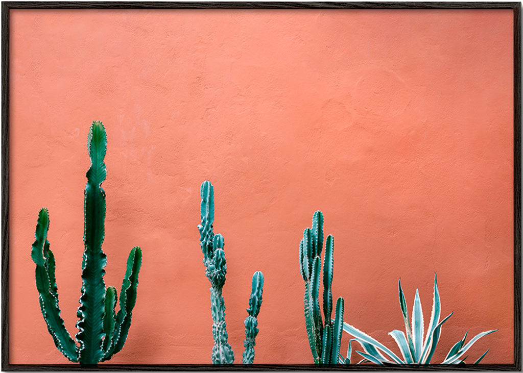 Lámina botánica con cactus sobre pared terracota – Black Frame