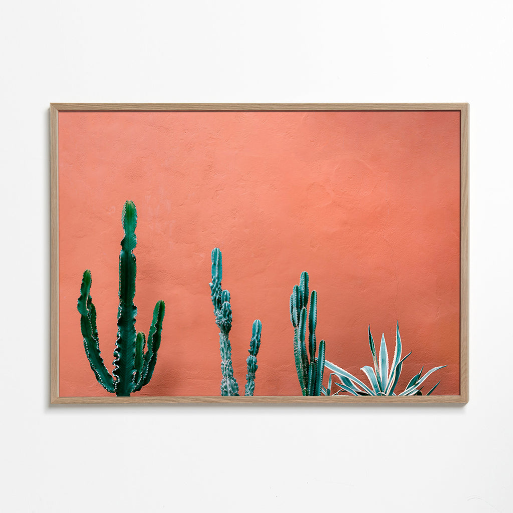 Lámina botánica con cactus sobre pared terracota – Oak Frame