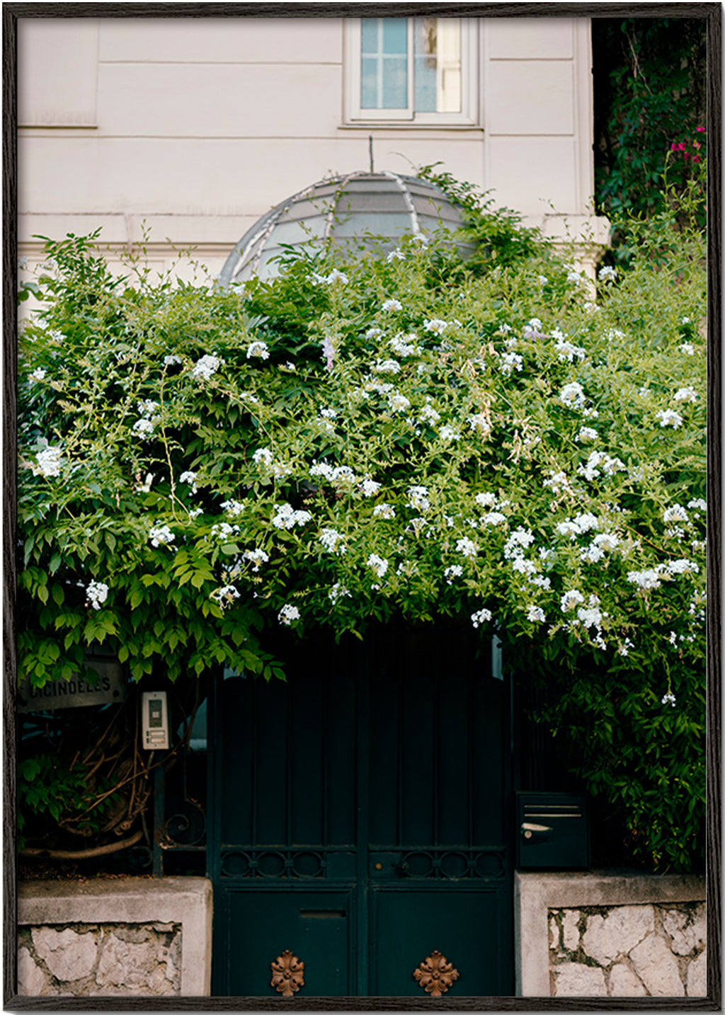 Lámina botánica con enredadera blanca sobre portal – Black Frame