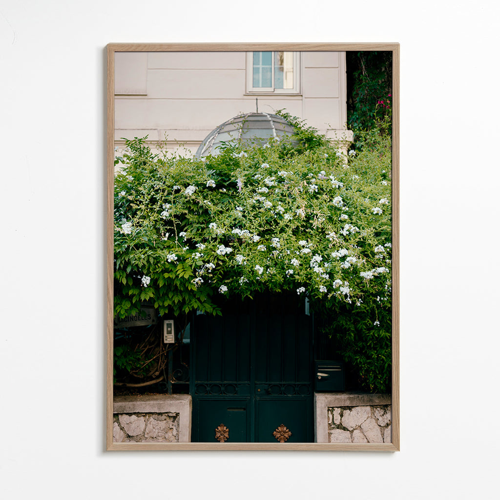 Lámina botánica con enredadera blanca sobre portal – Oak Frame
