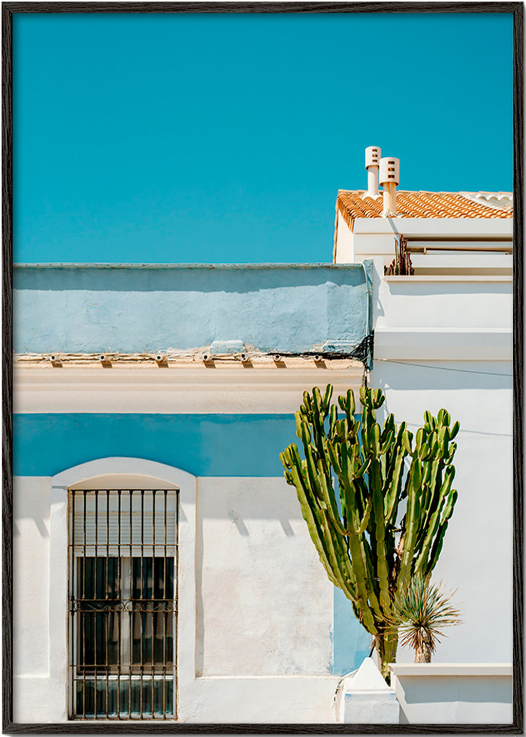 Lámina botánica: fachada mediterránea con cactus – Black Frame