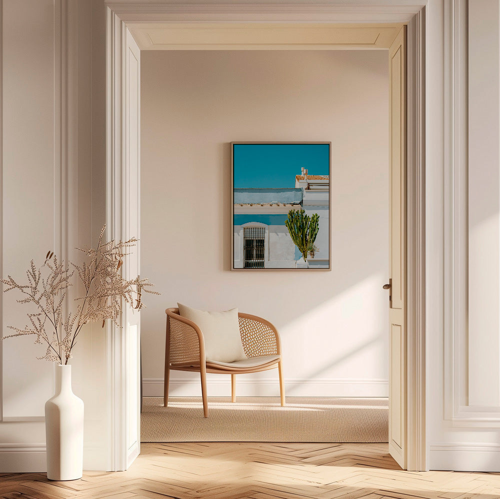 Lámina botánica: fachada mediterránea con cactus – Canvas2