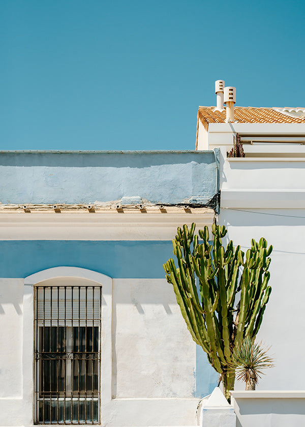 Lámina botánica: fachada mediterránea con cactus