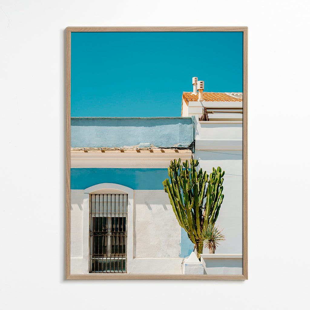 Lámina botánica: fachada mediterránea con cactus – Oak Frame