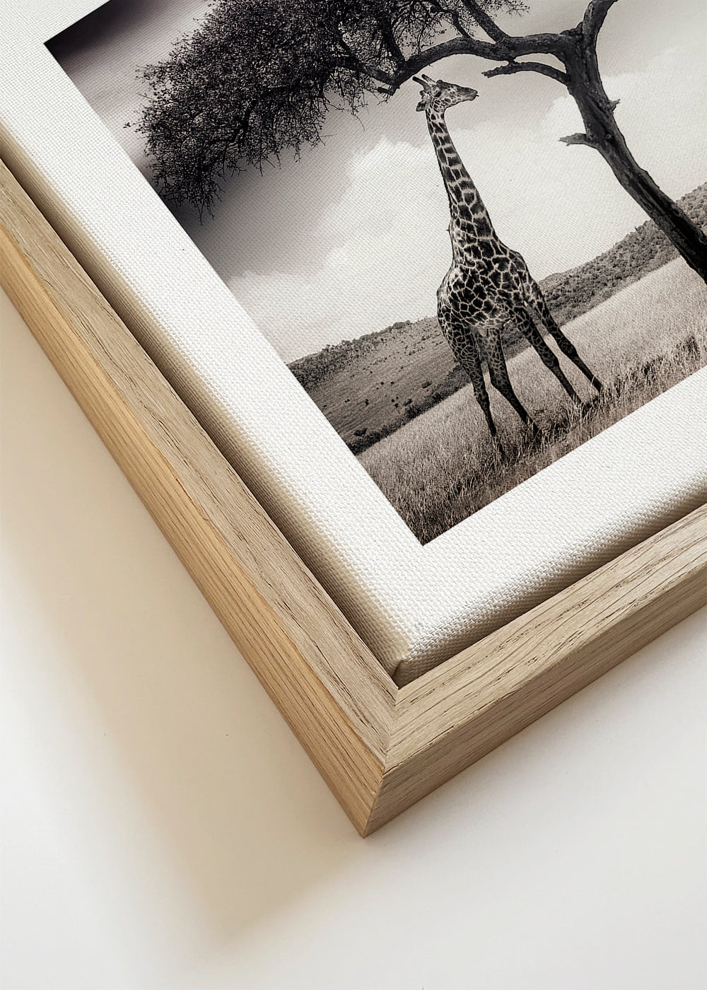 under the African sun