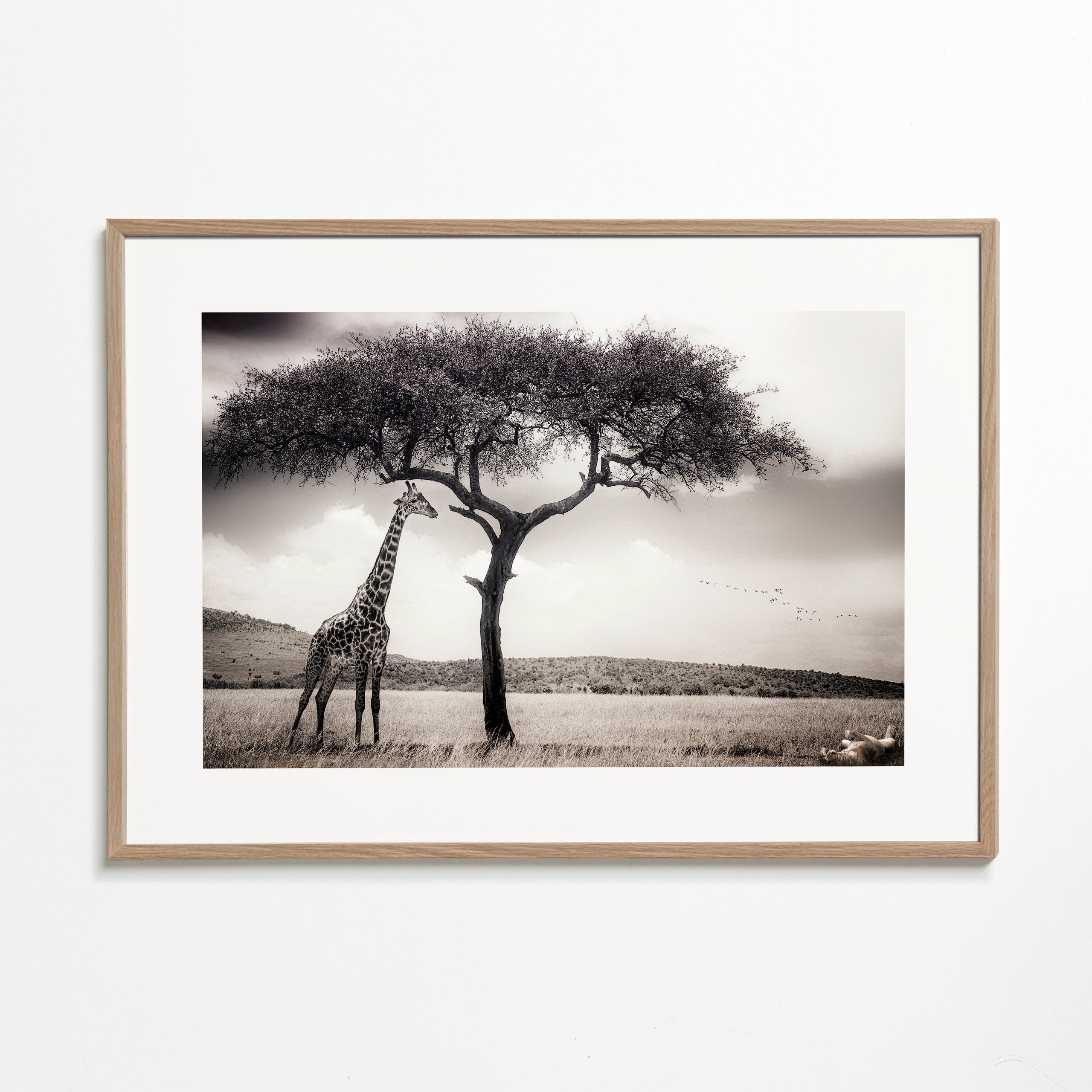 under the African sun