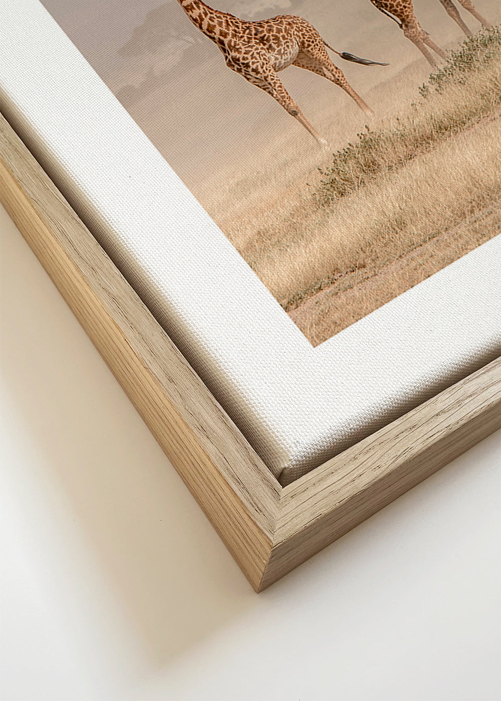 Weathering the Amboseli Dust Devils - Jeffrey C. Sink